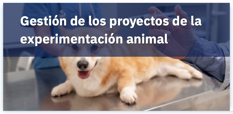 Gestión de los proyectos de experimentación animal